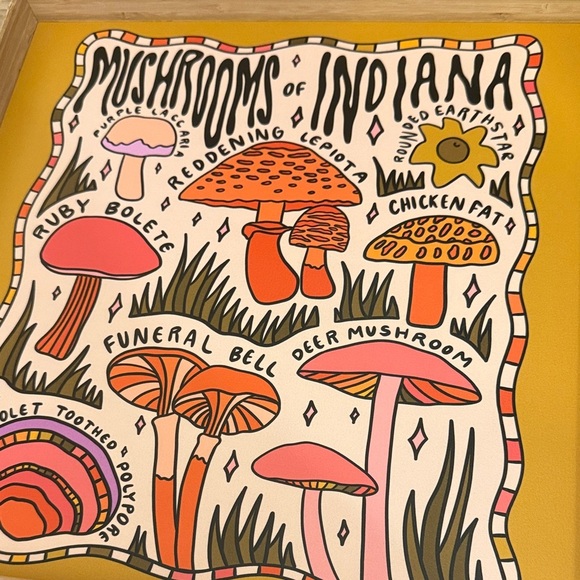 Mushrooms of Indiana by Doodle by Meg Framed Art Print Deny Designs Square Tray - Picture 3 of 7